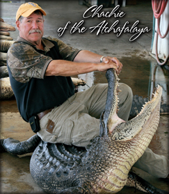 Chachie of the Atchafalaya