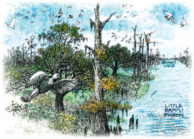 <em>Bayou Pigeon, La. - Spirit of the Atchafalaya</em> is a 688-page, 9x12-inch coffee table book filled with more than 900 custom illustrations, vintage photographs, maps, charts, and historical documents. The compelling narrative takes you on a journey through the history of the small Cajun community of Bayou Pigeon, Louisiana and the changes that occurred to the culture and the landscape.